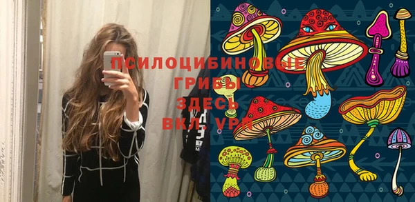 альфа пвп Новозыбков
