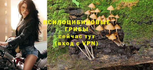 альфа пвп Новозыбков