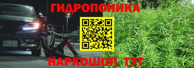 трава Беслан