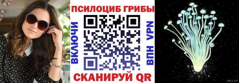 Псилоцибиновые грибы Cubensis  хочу наркоту  Кисловодск 