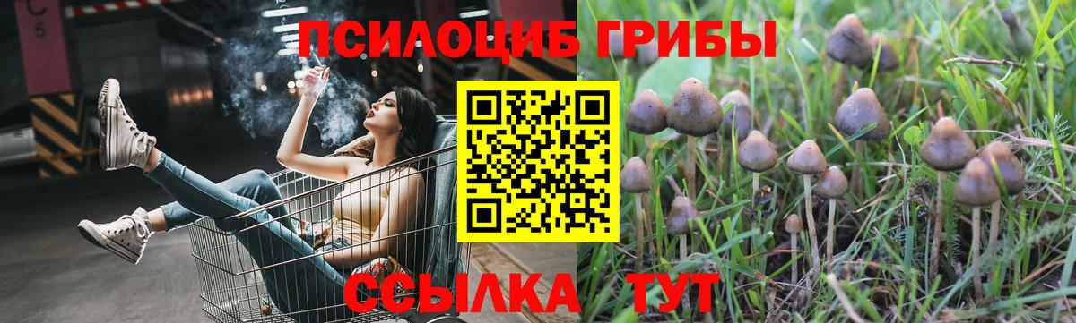 МАРИХУАНА Кисловодск