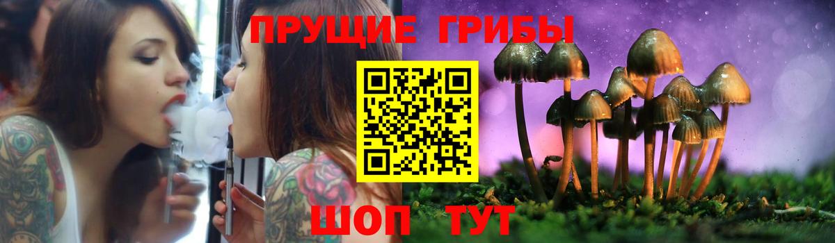 Галлюциногенные грибы прущие грибы Кисловодск