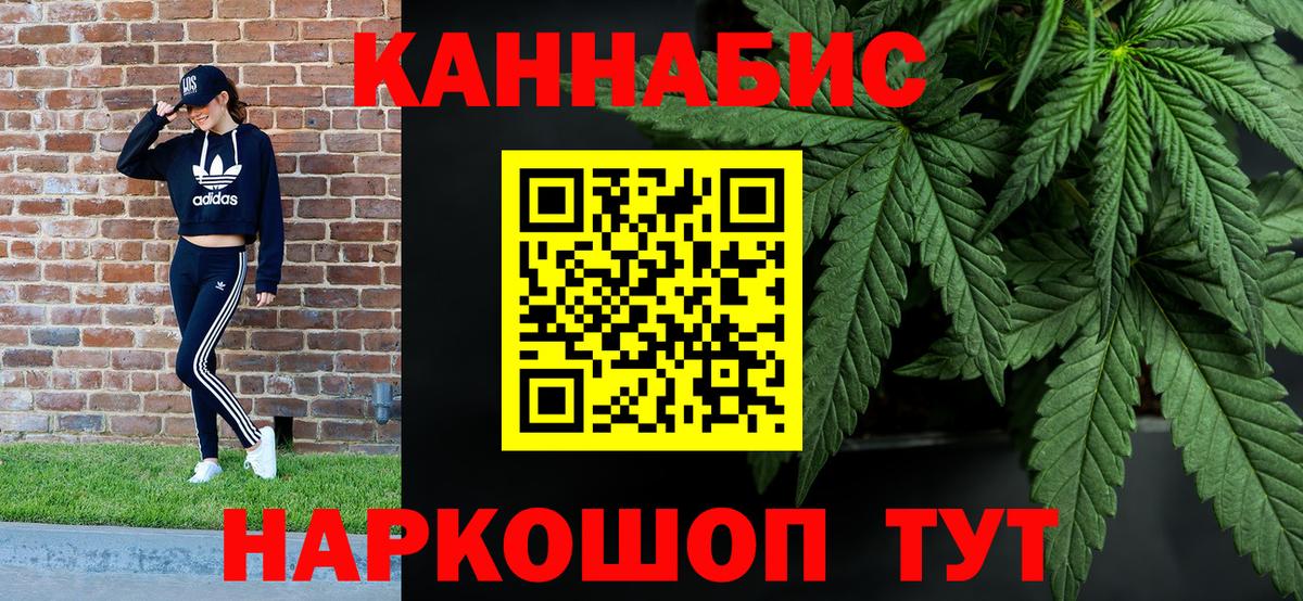 МАРИХУАНА планчик  Кисловодск  Марихуана гибрид  Марихуана сатива 